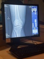 IMG_0716.jpeg
