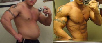 transformation.jpg