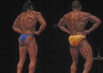 rearlatspread (Medium).jpg