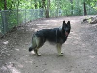 misc pics 033.jpg