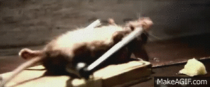 IMG_0218.gif