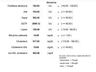 Obraz 14.02.2026, godz. 10.57.png