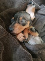 IMG_20260327_201106.jpg