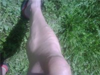 calf.jpg