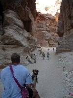 Jordan sept 09 - Camel 2.jpg