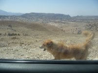 Jordan sept 2009 - Danna 4.jpg