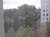park.JPG