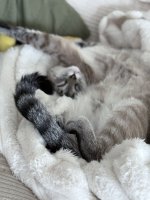 IMG_0188.jpeg