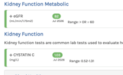 Screenshot 2026-07-12 at 9.42.01 AM.png
