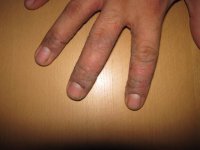img1141q.jpg