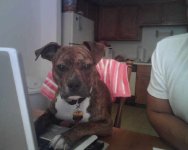 MACKS ON MYSPACE.jpg