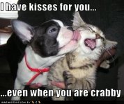 funny-dog-pictures-kisses-crabby.jpg