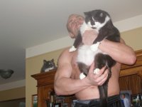 Fat Rocky.jpg