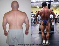 backtransformation.jpg