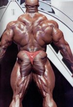 ronnie_coleman_photo340-11.jpg