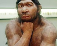 neanderthal2-278x225.jpg