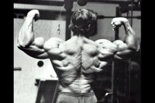 arnold-back.jpg