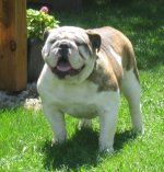IMG_3762.jpg