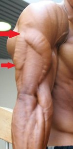 tricep2.jpg