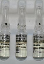 aburaihan-testosterone-enanthate-250-ampoules-iran.jpg