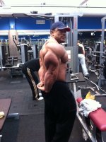 roelly1.JPG