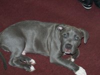 BLUE PIT 008.jpg