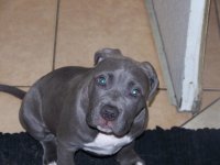 BLUE PIT 005.jpg