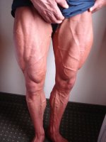 Legs.jpg