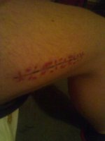 Z leg to.jpg