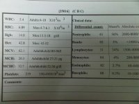 test1.jpg