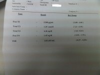 test5.jpg