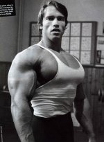 Arnold-Schwarzenegger-Massive-Chest.jpg