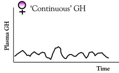 female-continuous-gh-release-pattern.jpg
