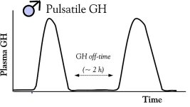 male-pulsatile-gh-release-pattern.jpg