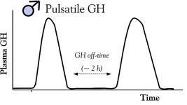 male-pulsatile-gh-release-pattern.jpg male-pulsatile-gh-release-pattern.jpg