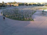 Healing Field.jpg
