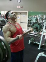 Ross931Biceps.jpg