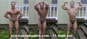 lenny_collage_13daysout.jpg