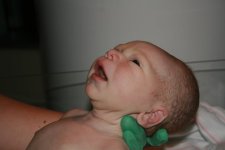 4-27-2011.jpg