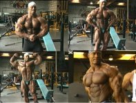 shawn ray 2.jpg