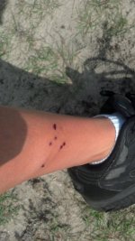 2012-07-02_09-30-38_652.jpg