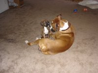 DSC01371.JPG
