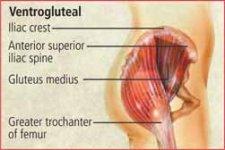 Ventrogluteal.jpg