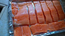 salmonraw.jpg