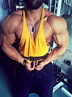 Yasir delts.jpg