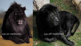 Lex black lion adobe copy.jpg