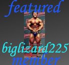 featured-biglizard225.jpg