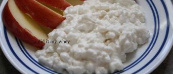 Cottage Cheese copy.jpg
