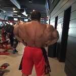 roelly back 7 weeks out 2016.jpg
