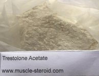 Trestolone Acetate Powder.jpg